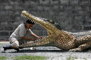 Cleaning Croc