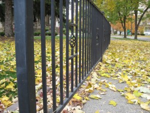 Autumn Fence