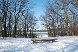 St. Mary of the Lake Seminary in Mundelein, IL