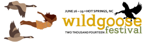 Wild Goose 2014