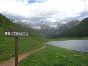 wilderness