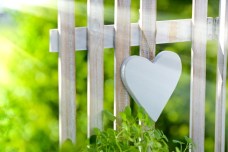 Herz am Gartenzaun